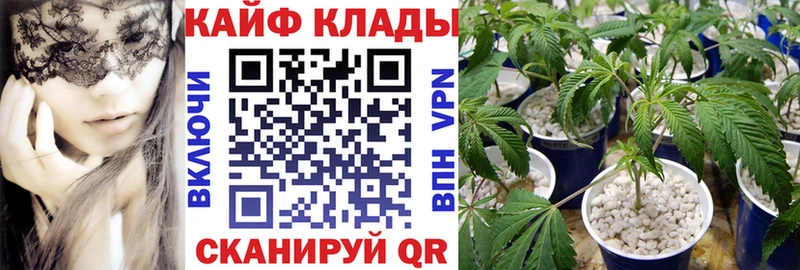 Купить наркотики сайты Харовск ГАШИШ СК Псилоцибиновые грибы Кокаин Мефедрон