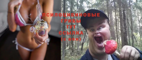 молекула духа Белокуриха