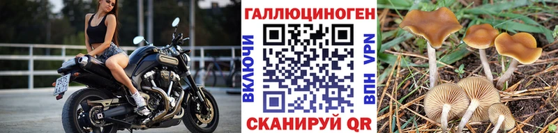 Псилоцибиновые грибы мухоморы  Харовск 